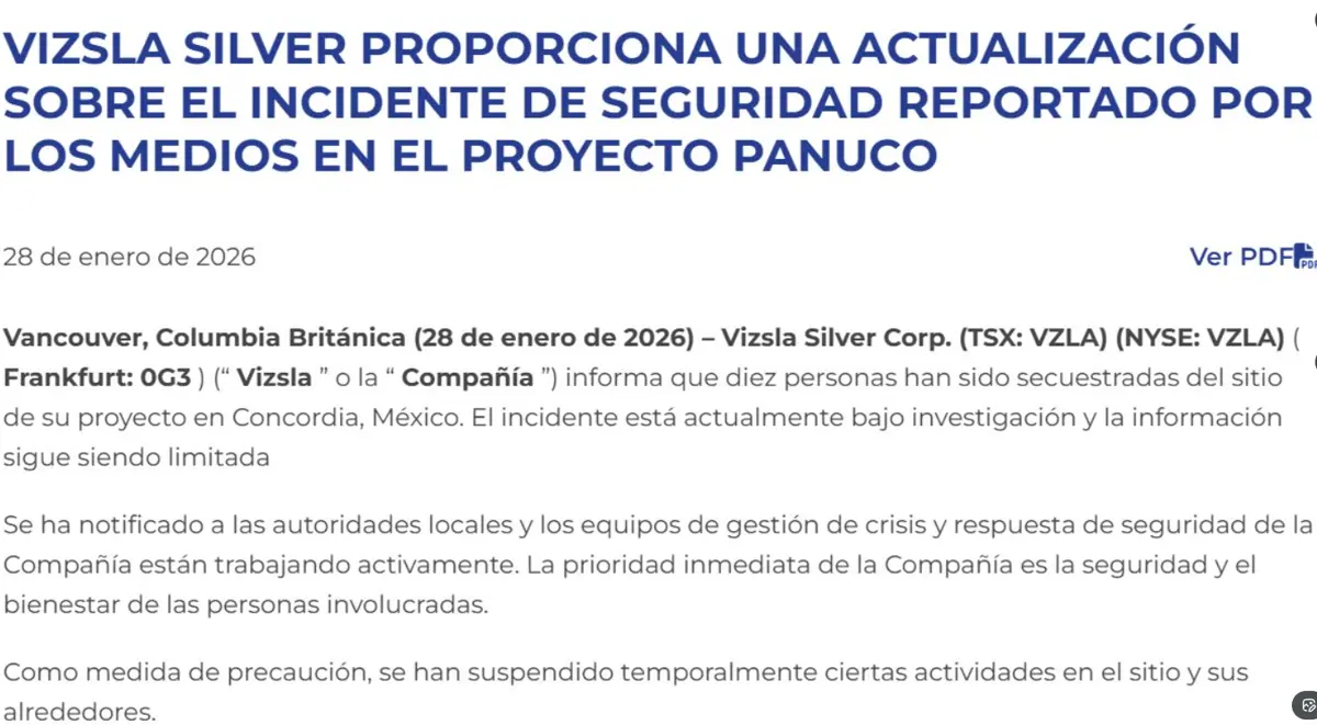 El comunicado de Vizsla Silver. Especial