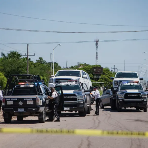 Los Chapitos, presuntos responsables del secuestro de 10 mineros y el ataque a diputados de MC en Sinaloa Los Chapitos, presuntos responsables del secuestro de 10 mineros y el ataque a diputados de MC en Sinaloa