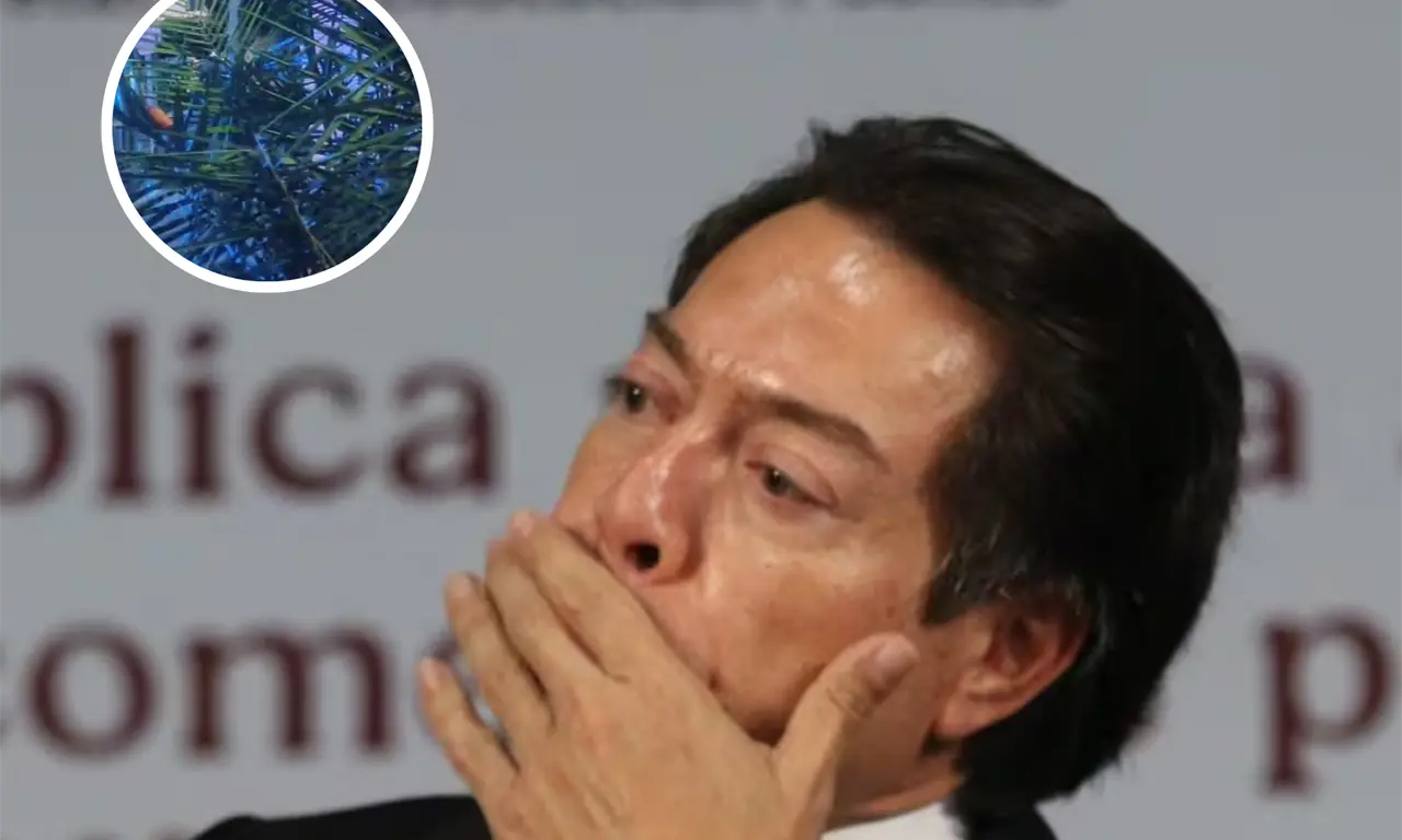  Reportan asesinado de familiares de Mario Delgado. 