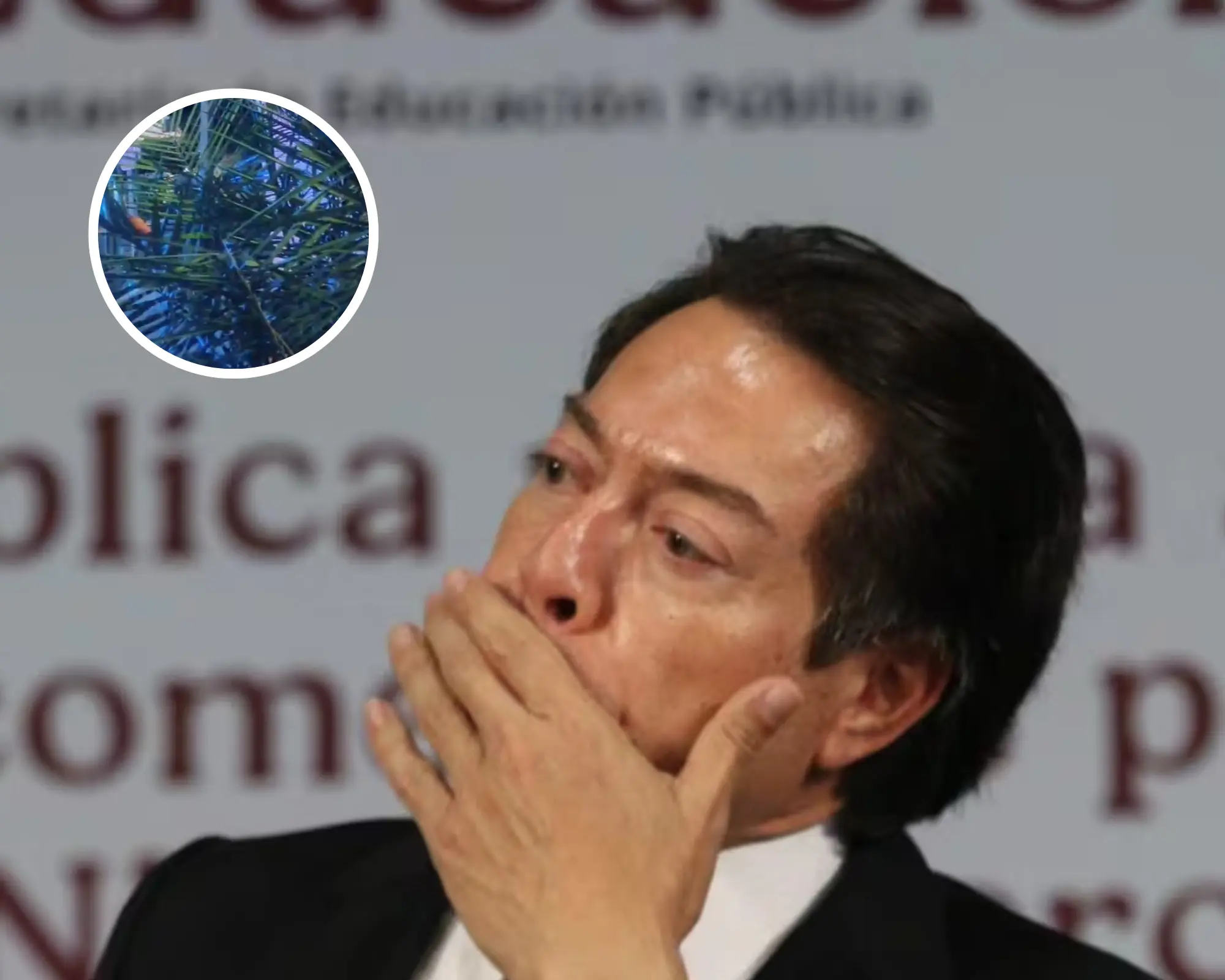 Especial | Cuartoscuro. 