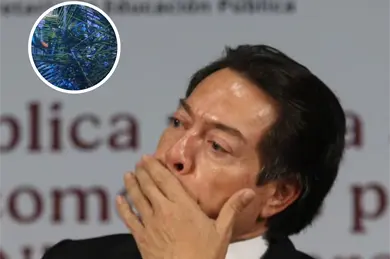 "Constantemente ten&iacute;a problemas": Reportan asesinato de t&iacute;a de Mario Delgado en Colima