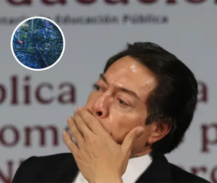 "Constantemente ten&iacute;a problemas": Reportan asesinato de t&iacute;a de Mario Delgado en Colima