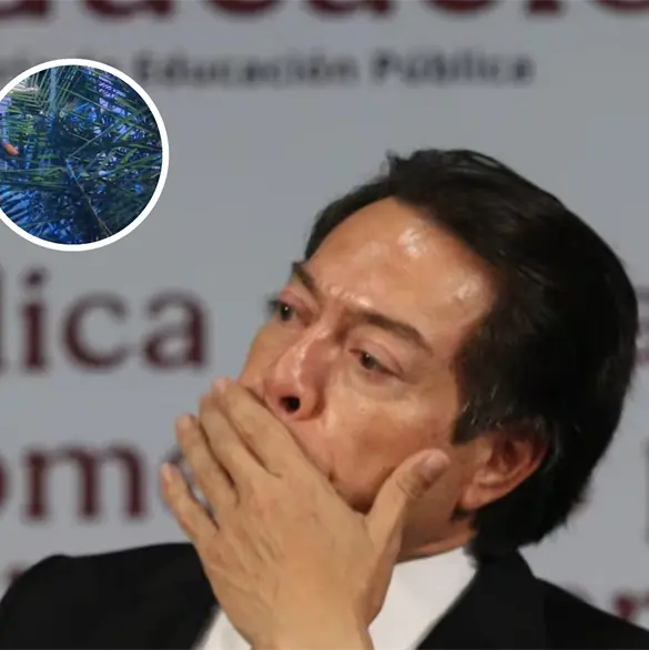 "Constantemente ten&iacute;a problemas": Reportan asesinato de t&iacute;a de Mario Delgado en Colima