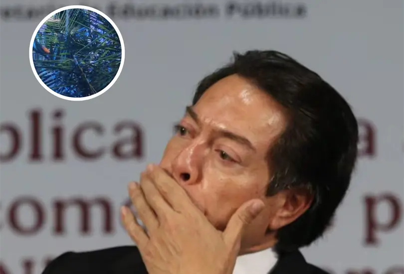 Reportan asesinado de familiares de Mario Delgado.