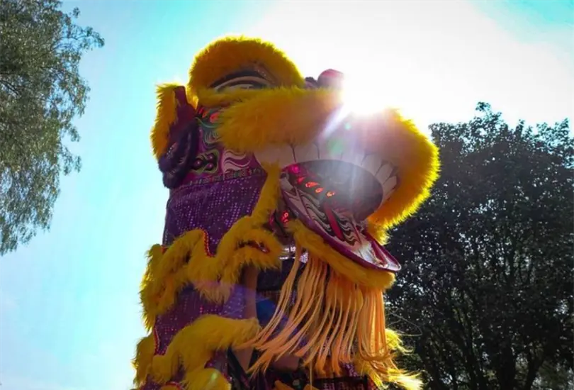 Esta festividad, profundamente arraigada en la capital desde hace d&eacute;cadas, destaca por su riqueza simb&oacute;lica y por la diversidad de expresiones art&iacute;sticas que la acompa&ntilde;an.