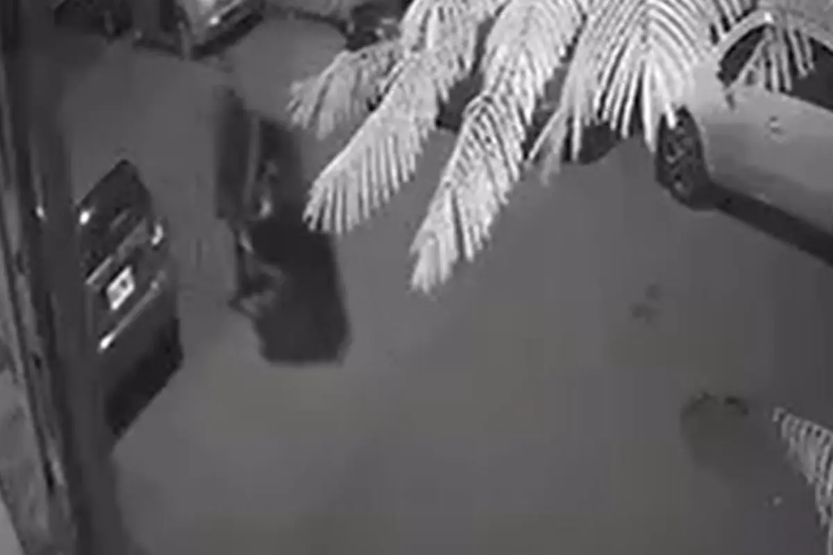  Captan al feminicida de Britany empujando su cuerpo en carretilla 