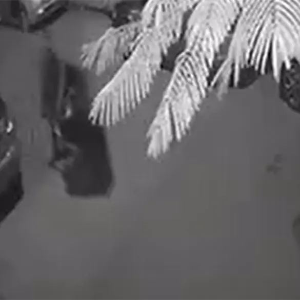 Presunto feminicida de Britany Nahomi transport&oacute; su cuerpo en carretilla por calles de Monterrey y lo arroj&oacute; a un pozo