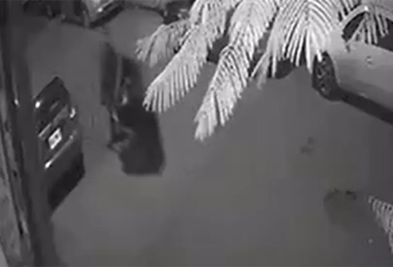 Captan al feminicida de Britany empujando su cuerpo en carretilla