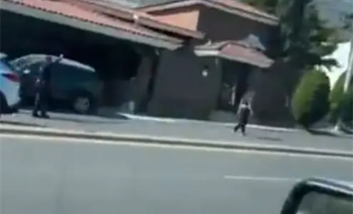 Joven que fue atropellada en Monterrey habr&iacute;a estado en etapa de posparto