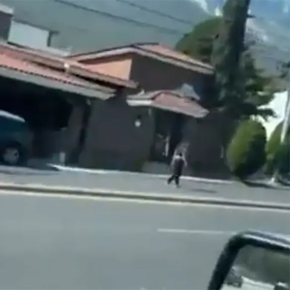 Joven que fue atropellada en Monterrey habr&iacute;a estado en etapa de posparto