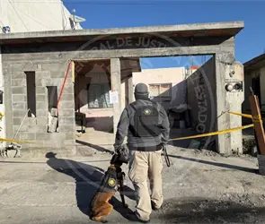 Caso Britany Nahomi en Nuevo Le&oacute;n: capturan a "El Patines" por narcomenudeo y lo acusan de homicidio