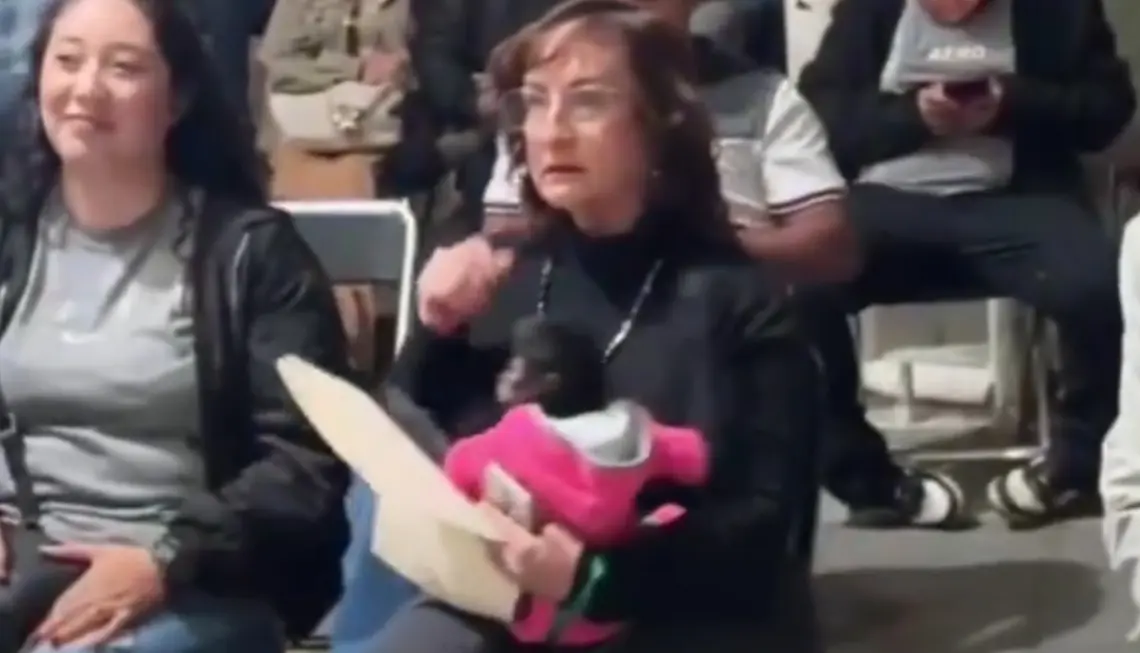 Captura de pantalla.