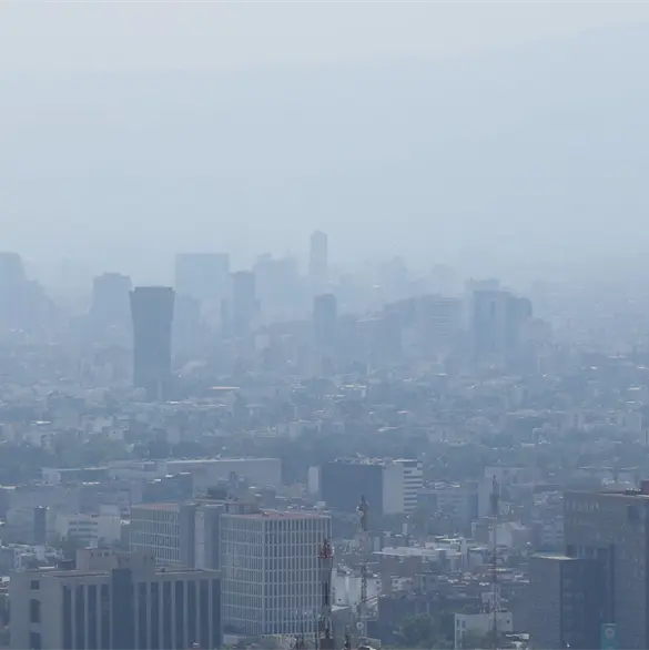 Contingencia ambiental se mantiene en CDMX y Edomex: qu&eacute; autos no circulan este s&aacute;bado 14 de febrero