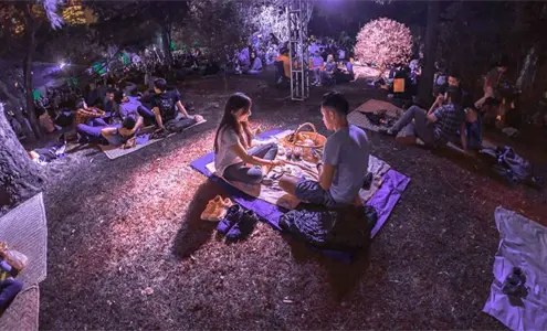 Celebra San Valentín con un picnic nocturno en el Bosque de Chapultepec Celebra San Valentín con un picnic nocturno en el Bosque de Chapultepec