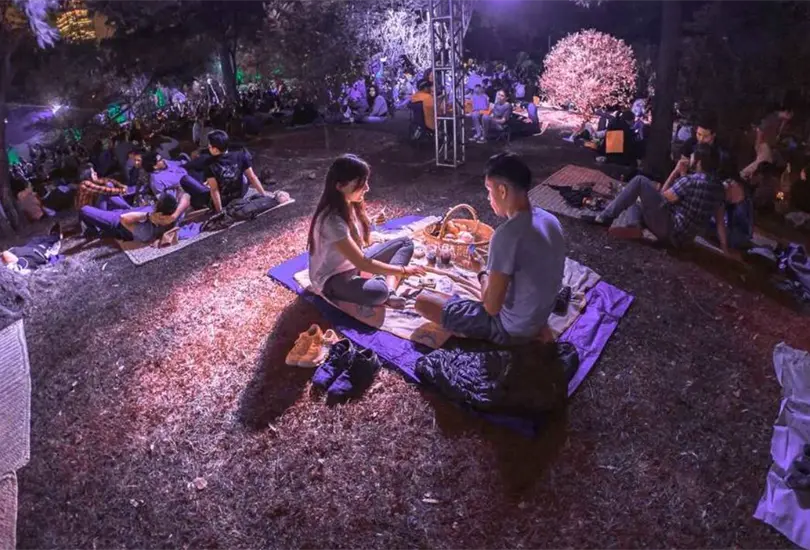 La invitaci&oacute;n es sencilla y tentadora: manta extendida sobre el pasto, canasta lista y la luna como l&aacute;mpara principal.