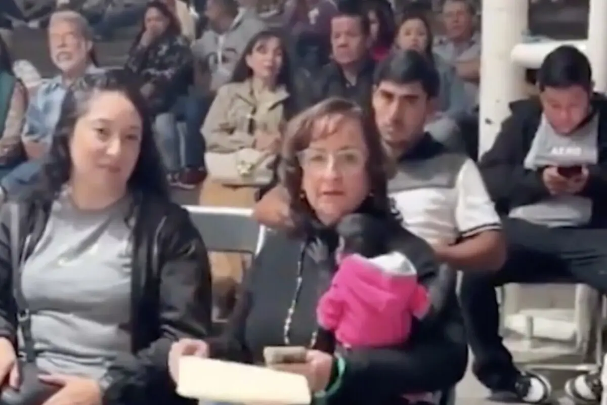  La Procuraduría Federal de Protección al Ambiente denunció la posible posesión ilegal del mono araña, especie en peligro de extinción. 