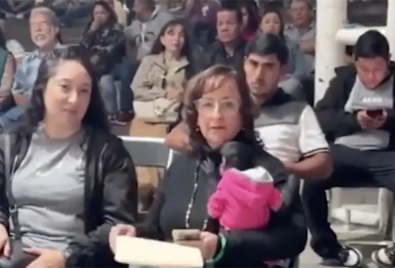 La Procuradur&iacute;a Federal de Protecci&oacute;n al Ambiente denunci&oacute; la posible posesi&oacute;n ilegal del mono ara&ntilde;a, especie en peligro de extinci&oacute;n.