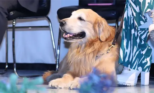 Gobierno de Puebla lleva servicios veterinarios gratuitos a seis zonas de la capital