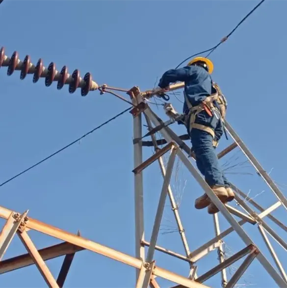 CFE emite bonos por mil 500 mdd: qué significa y en qué se usarán CFE emite bonos por mil 500 mdd: qué significa y en qué se usarán