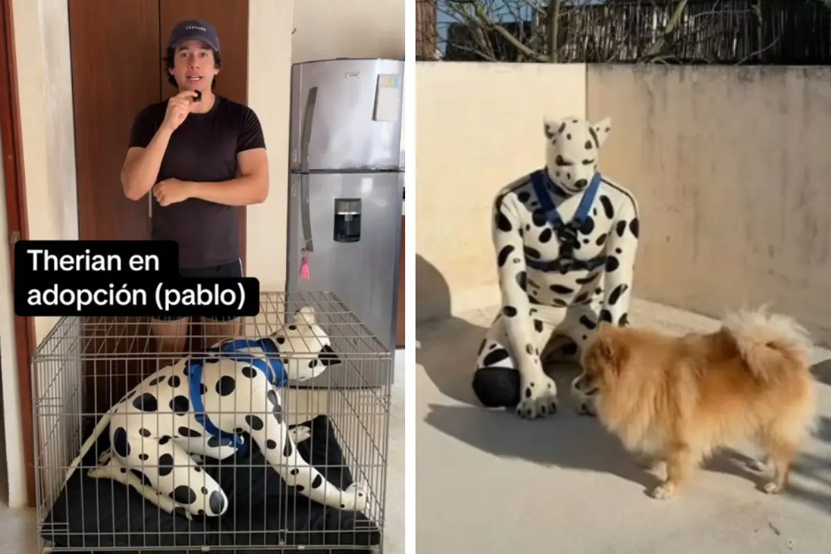  Therian en adopción 