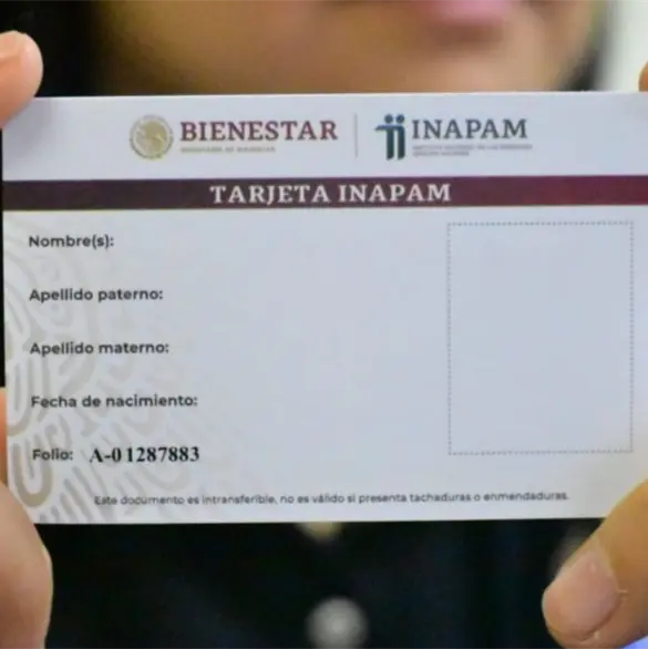 &iquest;Cu&aacute;les son los requisitos para tramitar tu credencial del INAPAM en febrero 2026?