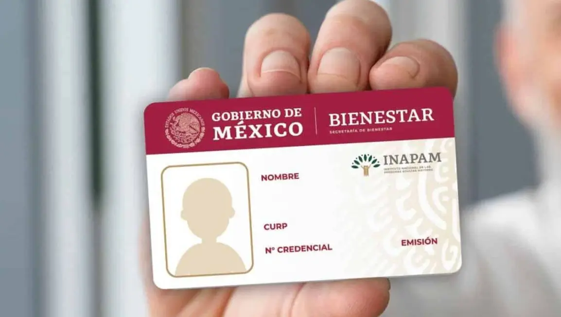 La tarjeta INAPAM permite acceder a descuentos en categorías como alimentación, asesoría legal, educación, recreación, cultura, predial, agua, salud, transporte y artículos para el hogar. Bienestar.