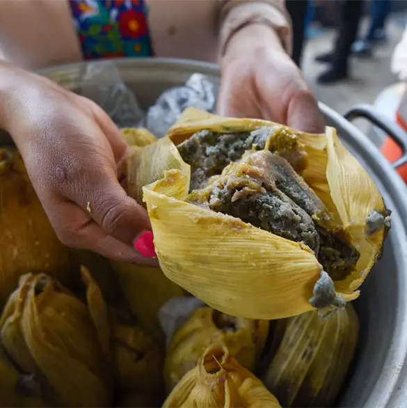 Tamales con fentanilo: Reportan intoxicación de siete niños tras ingerirlos en un puesto en Huauchinango Tamales con fentanilo: Reportan intoxicación de siete niños tras ingerirlos en un puesto en Huauchinango