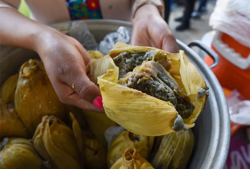 Los afectados tienen entre 2 y 11 años de edad; la menor que presentó el cuadro más grave continúa hospitalizada. Los afectados tienen entre 2 y 11 años de edad; la menor que presentó el cuadro más grave continúa hospitalizada.