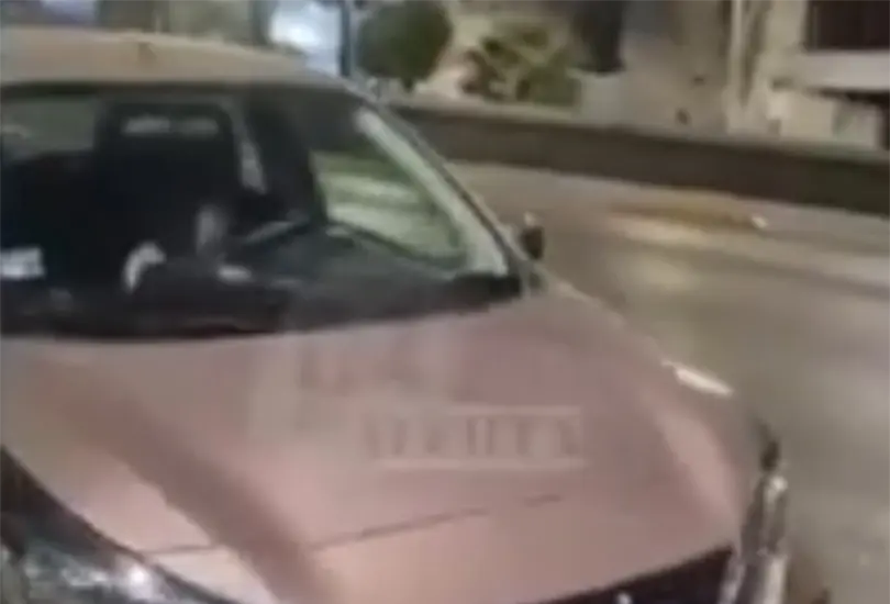 La persona que document&oacute; el momento intent&oacute; despertarla golpeando el vidrio del copiloto