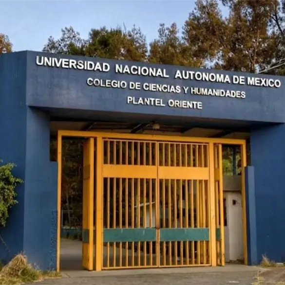 Tragedia en CCH Oriente: qué sabemos de Fernanda, la alumna que fue apuñalada afuera del plantel Tragedia en CCH Oriente: qué sabemos de Fernanda, la alumna que fue apuñalada afuera del plantel