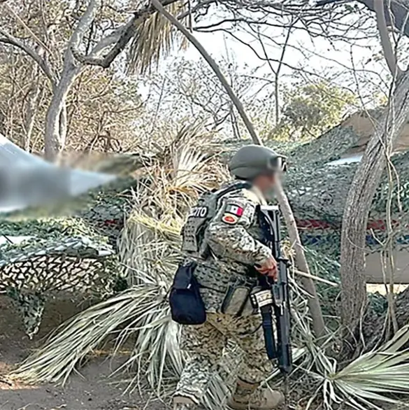 Harfuch anuncia decomiso de m&aacute;s de media tonelada de coca&iacute;na en aeronave clandestina en Oaxaca