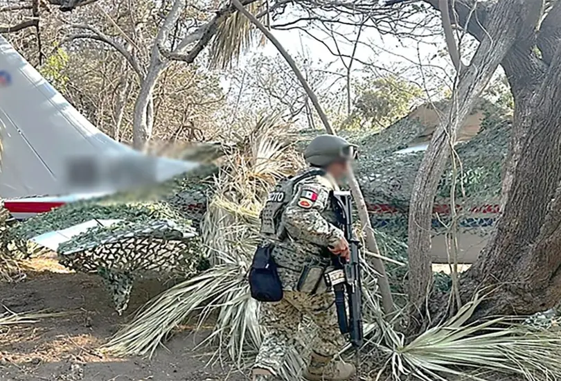 Harfuch anuncia decomiso de más de media tonelada de cocaína en aeronave clandestina en Oaxaca Harfuch anuncia decomiso de más de media tonelada de cocaína en aeronave clandestina en Oaxaca