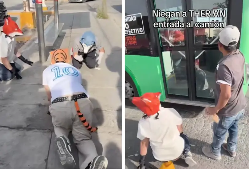 Therians intentan subir a camión Therians intentan subir a camión