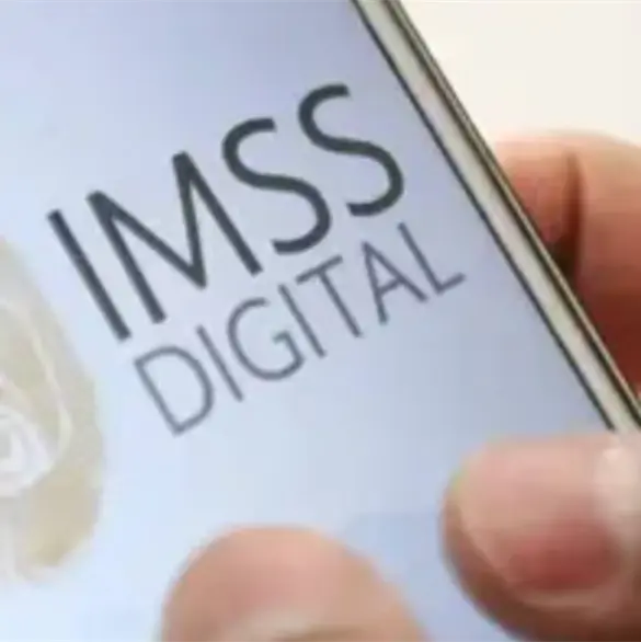 ¿Te toca? Estos derechohabientes deberán tramitar su Tarjetón Digital del IMSS en 2026 ¿Te toca? Estos derechohabientes deberán tramitar su Tarjetón Digital del IMSS en 2026