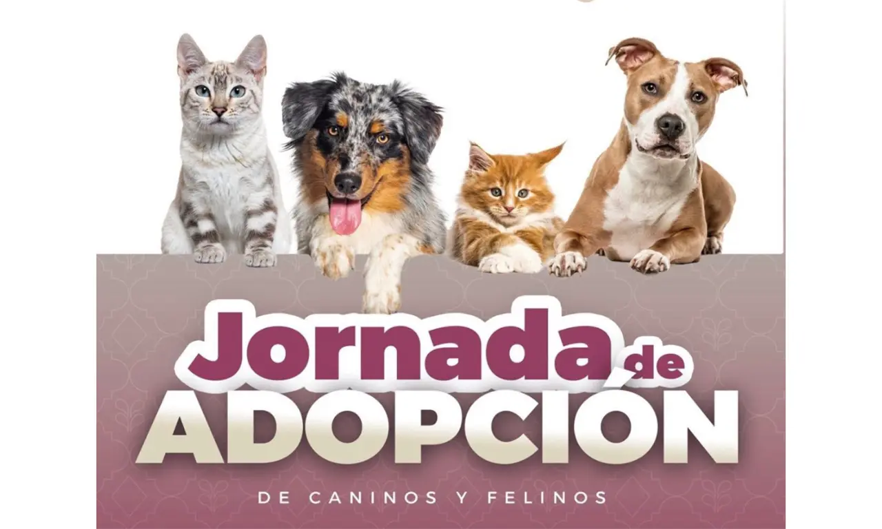  Puebla lanza Jornadas de Adopción de Gatitos y Perritos este 26 y 27 de febrero 
