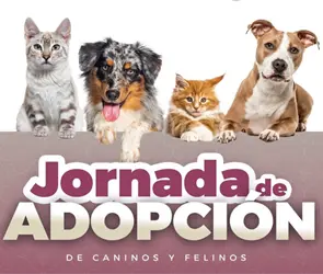Puebla lanza Jornadas de Adopci&oacute;n de Gatitos y Perritos este 26 y 27 de febrero