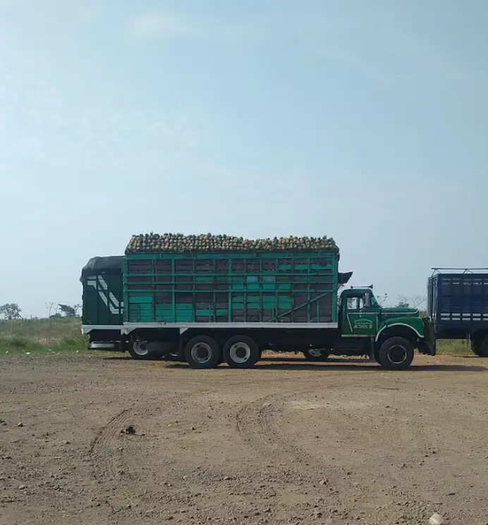 Su camión verde, marca Dina, fue hallado calcinado en un tramo carretero donde se registraron bloqueos e incendios de vehículos. Facebook.