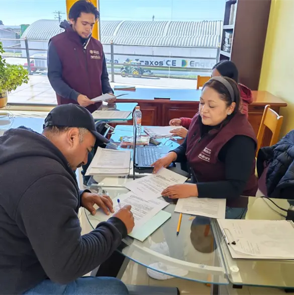 Agricultura convoca a productores a recibir incentivo al maíz blanco en seis estados Agricultura convoca a productores a recibir incentivo al maíz blanco en seis estados