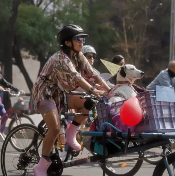 &iexcl;No compres! &iquest;Cu&aacute;ndo ser&aacute; la Caravana de Adopci&oacute;n de perritos en Reforma 2026?