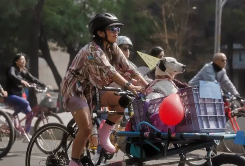 La dinámica está pensada para aprovechar el Paseo Dominical y acercar a decenas de perritos rescatados a posibles familias.