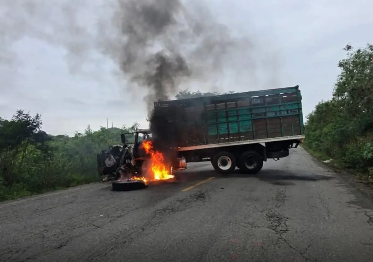 Bulmaro manejaba un camión tipo torton marca Dina, color verde, cuando fue interceptado. Especial