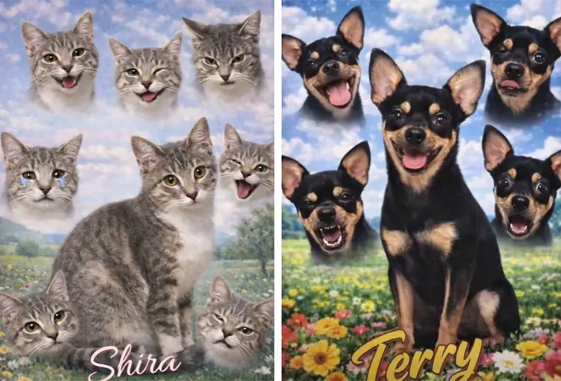 Foto con caritas de mascotas Foto con caritas de mascotas