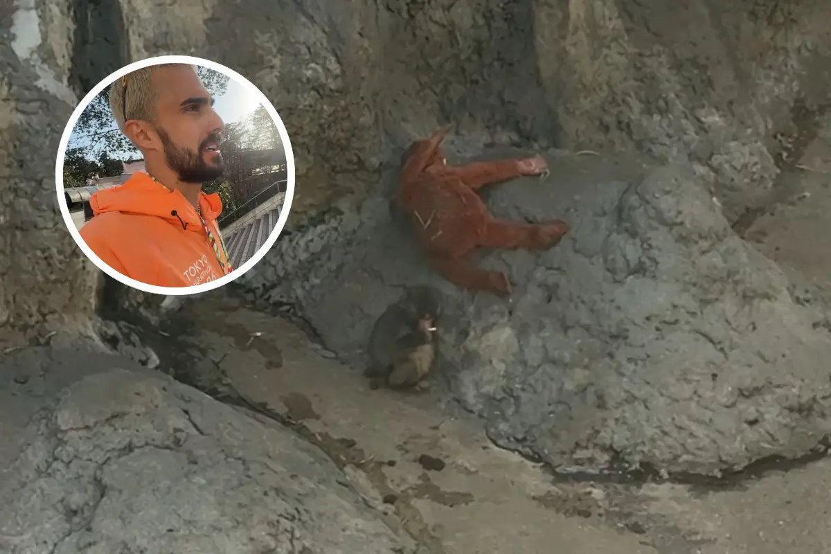  Influencer mexicano visita a Punch 