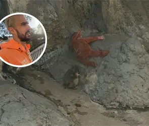 Est&aacute; en un estado deplorable: Mexicano visita a Punch y expone las condiciones en las que vive