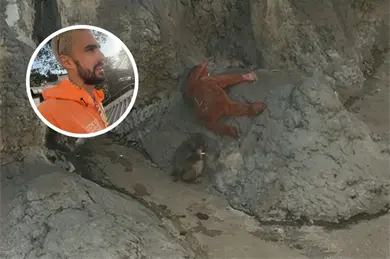 Est&aacute; en un estado deplorable: Mexicano visita a Punch y expone las condiciones en las que vive