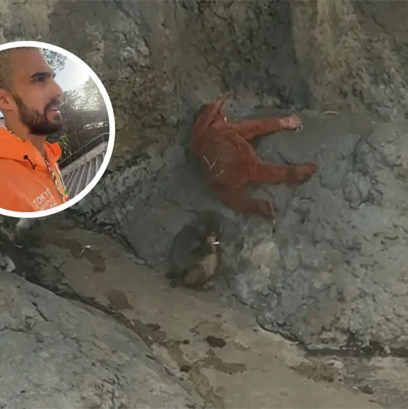 Est&aacute; en un estado deplorable: Mexicano visita a Punch y expone las condiciones en las que vive