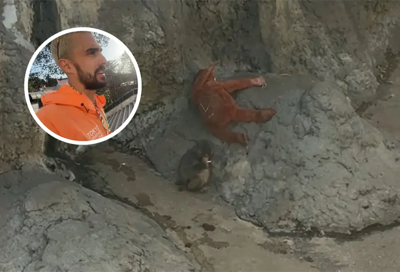 Influencer mexicano visita a Punch