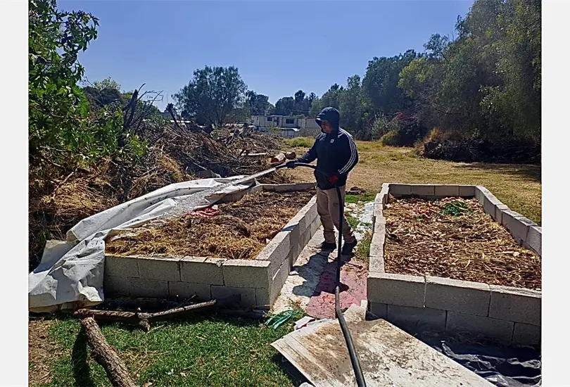 &iquest;Qu&eacute; es la lombricomposta? El proyecto ecol&oacute;gico que impulsa el gobierno de Puebla