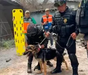 As&iacute; fue el dram&aacute;tico rescate de un trabajador tras derrumbe de edificio en San Antonio Abad