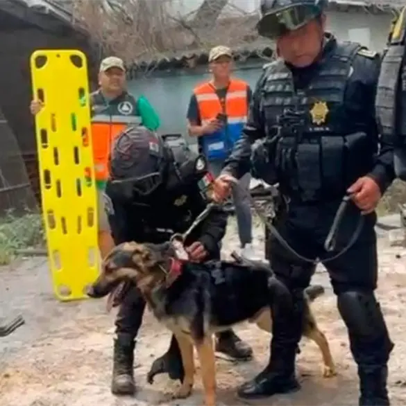 As&iacute; fue el dram&aacute;tico rescate de un trabajador tras derrumbe de edificio en San Antonio Abad